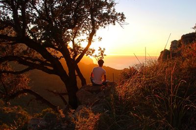 Rear view of man sitting on tree at sunset