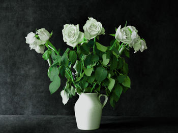 Close-up of flower pot on table