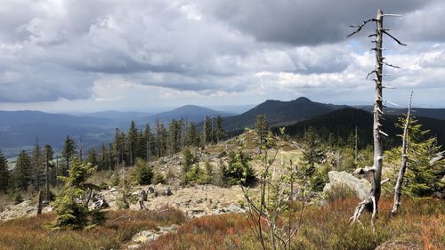 Scenic view of landscape against sky