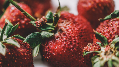 Close-up of strawberries