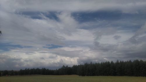 Scenic view of field against sky