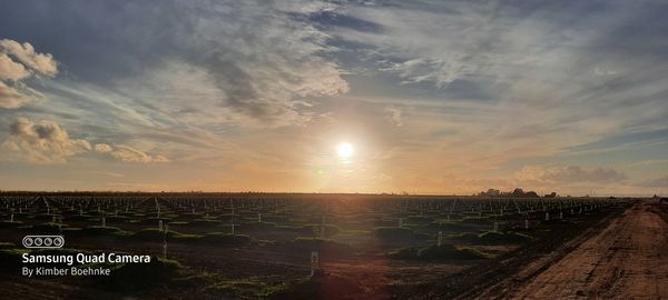 Scenic view of field against sky during sunset