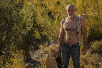 Shirtless adult man in jeans in fields with olive trees in summer