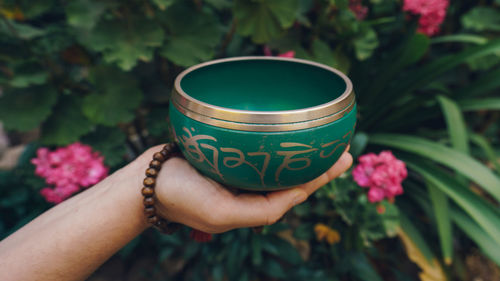 Close-up of hand holding metallic bowl against plants