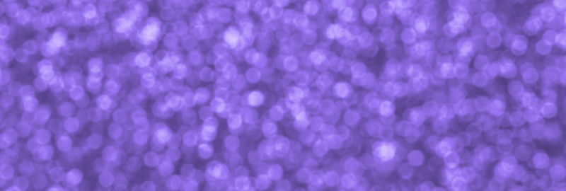 Full frame shot of purple flower