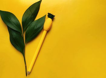 Close-up of yellow flower