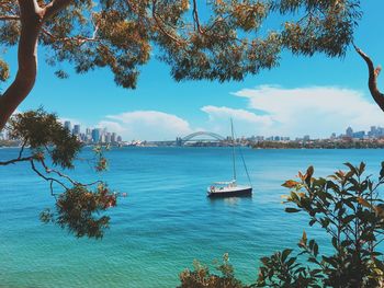 Boat sailing at sydney harbor