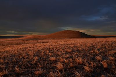 Scenic view of field against sky during sunset