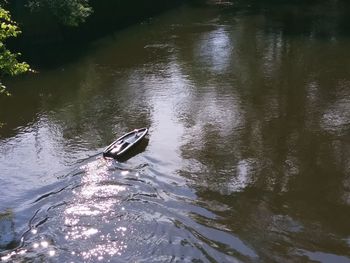 High angle view of duck swimming in lake