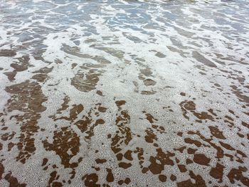 Full frame shot of pattern on beach