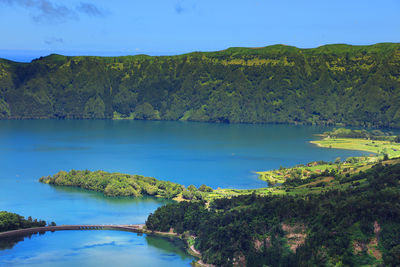 Scenic view of lake amidst trees in forest against sky