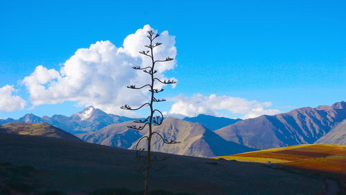 Scenic view of mountains against blue sky