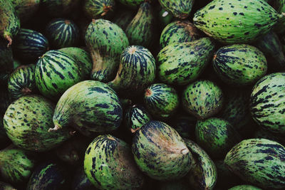 Full frame shot of pumpkins