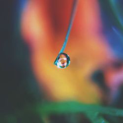 Extreme close-up raindrop on twig