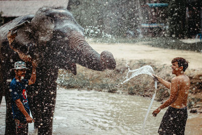 Shirtless man washing elephant with water pipe while standing in lake