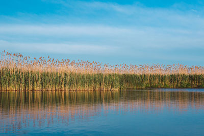 Scenic view of lake against sky