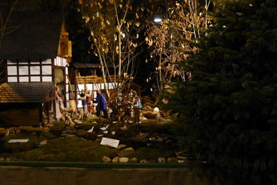 People sitting by illuminated plants at night