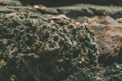 Close-up of rocks on land