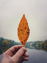 Close-up of hand holding leaf