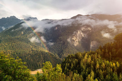 Scenic view of pine trees and mountains against sky