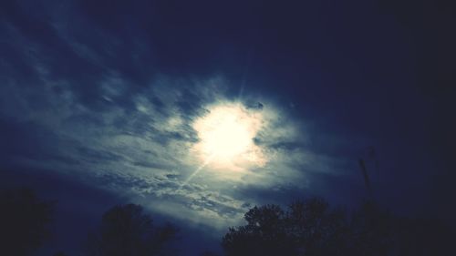 Low angle view of silhouette trees against sky at night