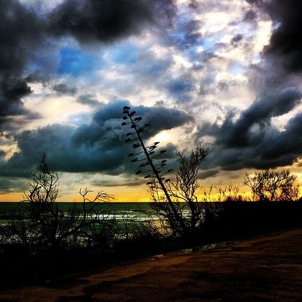 sky, sunset, cloud - sky, tranquility, tranquil scene, scenics, water, beauty in nature, sea, cloudy, horizon over water, cloud, nature, beach, idyllic, shore, silhouette, dramatic sky, overcast, plant