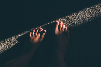 Low section of woman feet on land