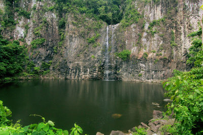 Scenic view of waterfall in forest