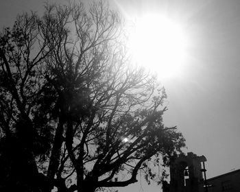 Low angle view of bare trees against sky