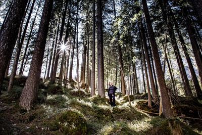 Rear view of man amidst trees in forest