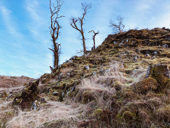 Low angle view of land against sky