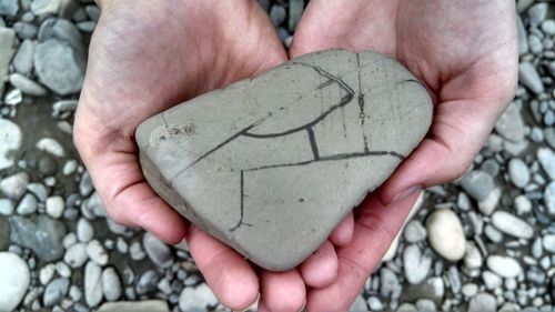 Close-up of hand holding leaf