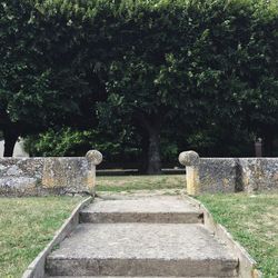 View of cemetery against trees