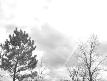 Low angle view of tree against cloudy sky