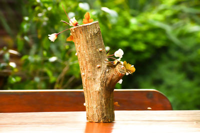 Close-up of bird perching on wooden post