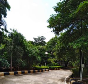 Footpath in park against clear sky