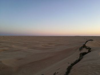 Scenic view of beach against clear sky
