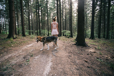 Man with dog walking in forest