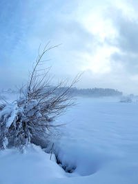 Scenic view of snow covered field against sky