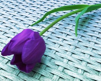 Close-up of purple flower in basket