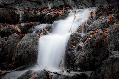 Scenic view of waterfall in forest