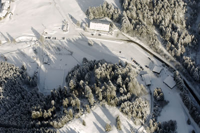 High angle view of trees on snow covered landscape