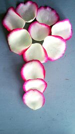 Close up of pink flower