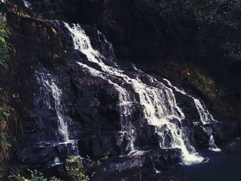 Low angle view of waterfall in forest