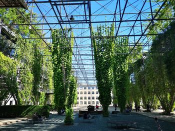 Trees and modern buildings against sky