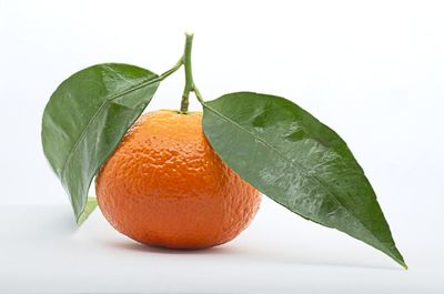 Close-up of orange fruit against white background