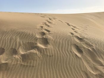 Footprints on sand in desert against sky