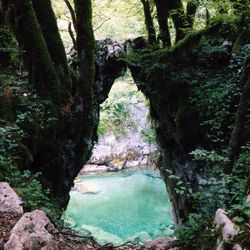 High angle view of canal passing through forest