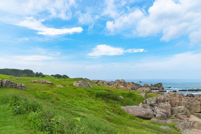 Scenic view of sea against sky