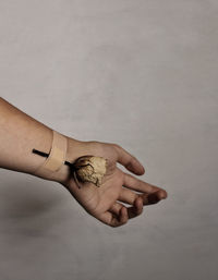 Close-up of hand with bandage and dried rose against white background